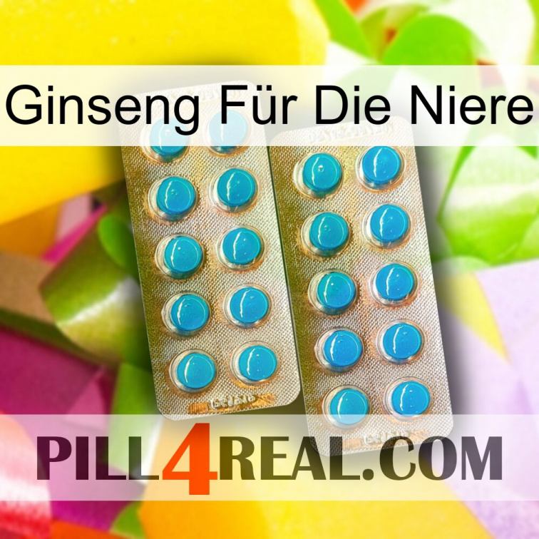Ginseng Für Die Niere new08